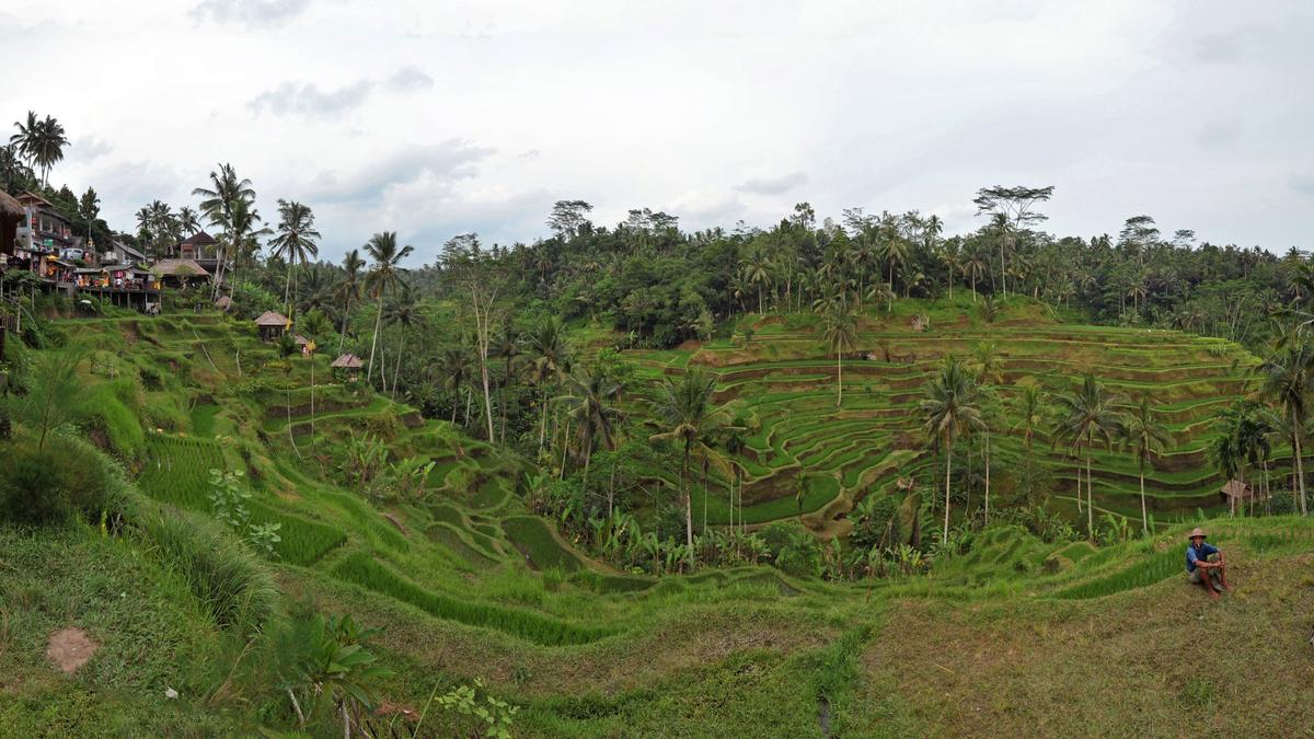 Bali 10 Dias Mochilao Brasileiros 2026 Ubud Canggu Uluwatu Roteiro Custos — imagem do artigo