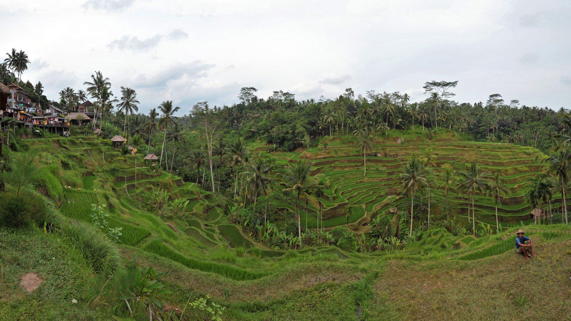 Bali in 10 days for first-timers in 2026: an honest backpacker itinerary through Canggu, Ubud and Uluwatu — imagem do artigo