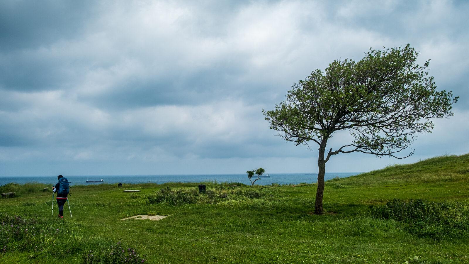 Camino de Santiago Francés in 15 Days: The Honest Route from Sarria to Santiago in 2026 — imagem do artigo