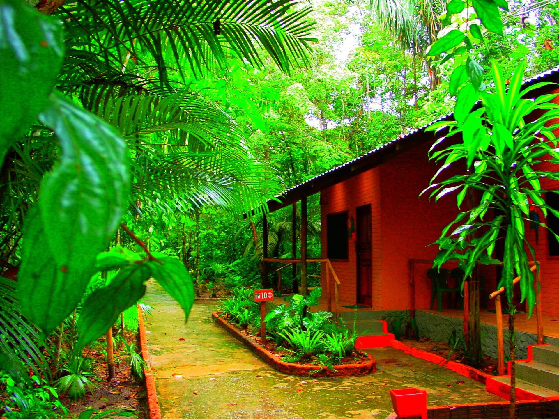 Luxury Eco Lodges 2026: Anavilhanas, Bambu Indah, Lapa Rios, Segera — Premium Without the Greenwashing — imagem do artigo