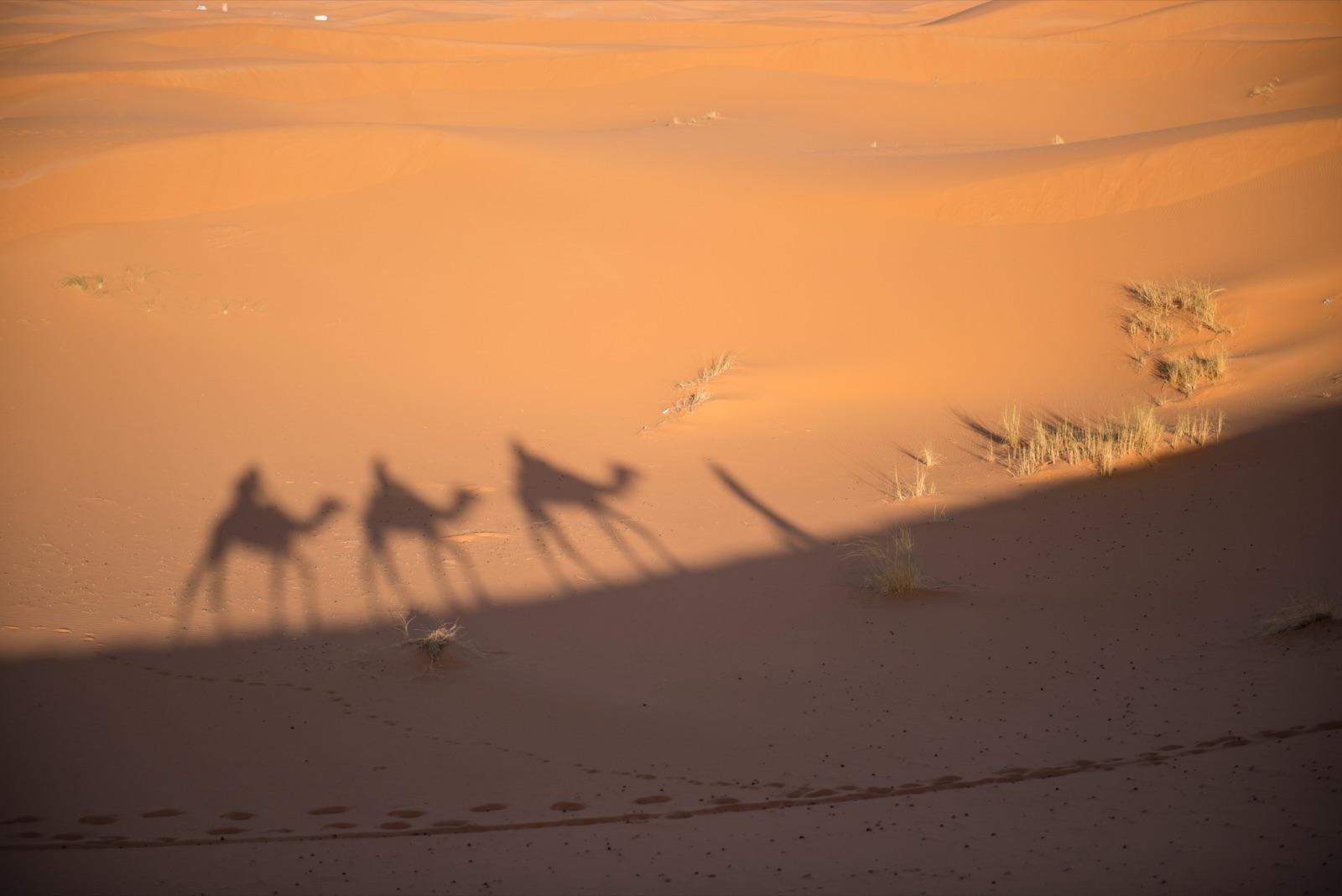 Morocco in 10 days: Marrakech, Fes, and the Sahara desert — imagem do artigo